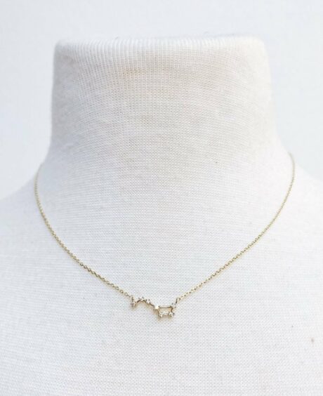 Zodiac Collection Necklace