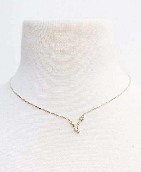 Zodiac Collection Necklace